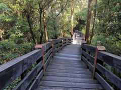 -水濂山森林公园