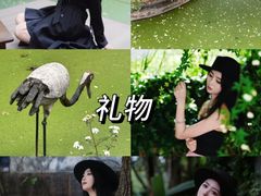 -昆明市金殿名胜区