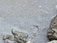-万尾金滩