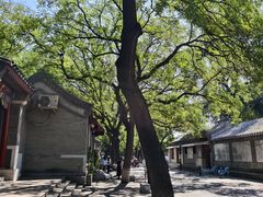-北京国子监胡同