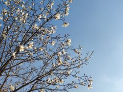 -盘门景区