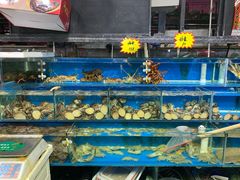 -岳各庄批发市场(西四环中路店)