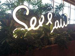 -Seesaw Coffee(朝阳大悦城店)