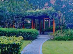 -徐家汇源景区-衡山公园