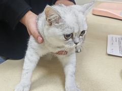 -艾贝尔宠物医院 ·内科全科(梁溪路店)