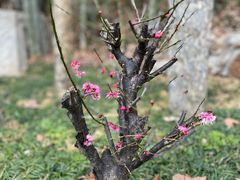 -兴福老面馆(寺路街店)