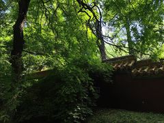-沈阳市东陵公园