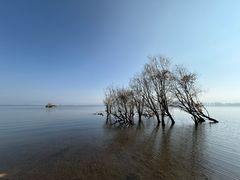 -洱海月湿地公园