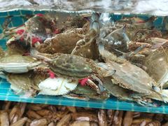 -港畔赶海蒸汽海鲜烧烤自助(仙螺岛店)