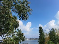 -鹅湖玫瑰文化园
