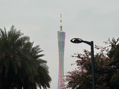 -珠江夜游广州塔·中大码头