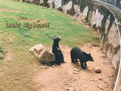 -无锡动物园·太湖欢乐园