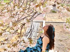 -济南国际园博园