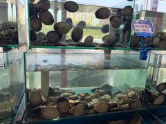 -小红鲸·海鲜餐厅(轸大路店)