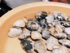 -龍歌自助小火锅(市南金茂湾店)