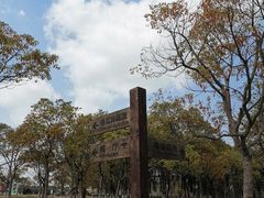 -上海都市菜园