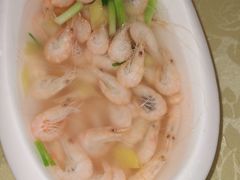 太湖白虾-西新饭店(城中店)