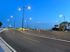 -贡湖湾湿地公园