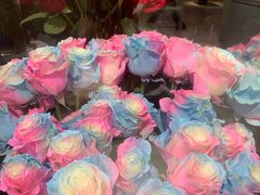 -ROSEONLY诺誓(广州K11店)