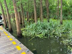 -云龙湖旅游景区