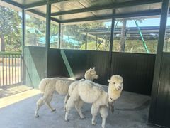 -青岛鑫江温德姆酒店