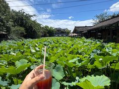 -莫催咖啡