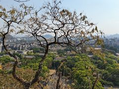 -桂林独秀峰王城景区