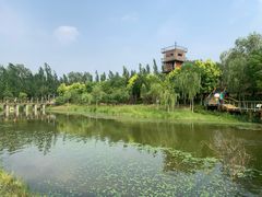 -东郊湿地公园