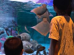 -沈阳海洋探索中心