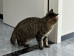 -芭比堂动物医院·CT·微创中心(新顺分院)