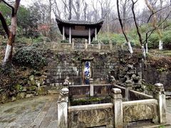 -镇江市南山风景名胜区竹林景区