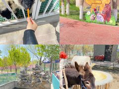 -水上乐园·欢乐世界