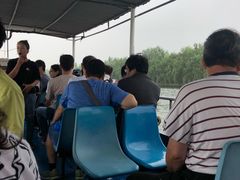 -白洋淀景区
