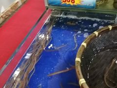 -东江海鲜酒家(艺都分店)