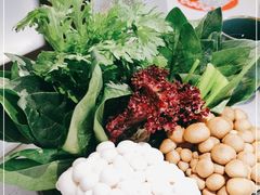 -新辣道鱼火锅(西直门店)