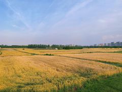 -汉长安城未央宫国家考古遗址公园