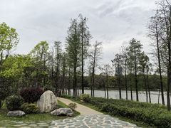 -东莞植物园