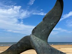 -烟台金沙滩海滨公园