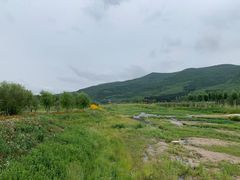 -塞罕坝国家级自然保护区