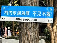 -东湖落雁景区