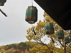 -童牛岭风景区