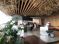 -Seesaw Coffee(朝阳大悦城店)