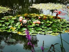 -国家植物园南园