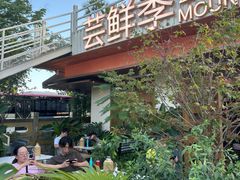 -芸鲜季·云南野生菌餐厅· 云南风物味研社(闵行店)