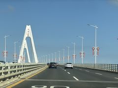-东郊椰林