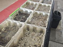 -鹏城人家海鲜酒家·23年老字号(较场尾店)