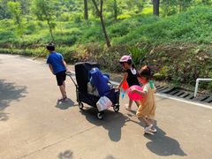 -田心森林公园