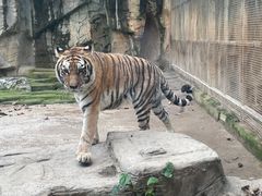 -南宁市动物园