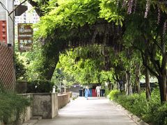 -半坡国际艺术区