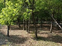 -嘉北郊野公园